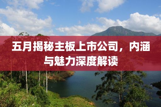 五月揭秘主板上市公司，内涵与魅力深度解读