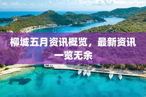 柳城五月资讯概览，最新资讯一览无余