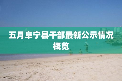 五月阜宁县干部最新公示情况概览