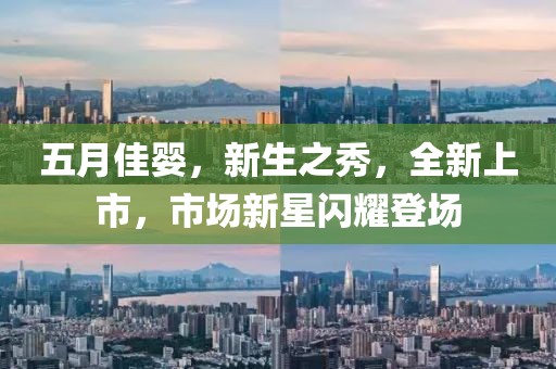 五月佳婴，新生之秀，全新上市，市场新星闪耀登场