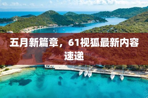 五月新篇章，61视狐最新内容速递