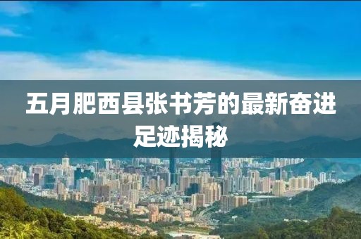 五月肥西县张书芳的最新奋进足迹揭秘