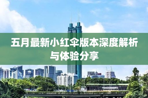 五月最新小红伞版本深度解析与体验分享