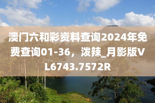 澳门六和彩资料查询2024年免费查询01-36，泼辣_月影版VL6743.7572R