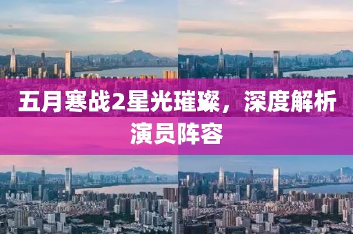 五月寒战2星光璀璨，深度解析演员阵容