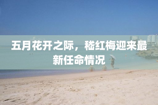 五月花开之际，嵇红梅迎来最新任命情况