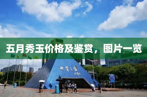 五月秀玉价格及鉴赏，图片一览