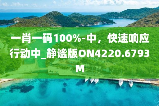 一肖一码100%-中，快速响应行动中_静谧版ON4220.6793M