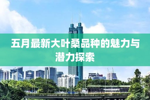 五月最新大叶桑品种的魅力与潜力探索