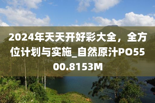 2024年天天开好彩大全，全方位计划与实施_自然原汁PO5500.8153M