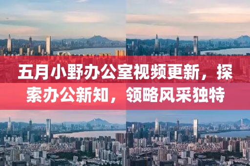 五月小野办公室视频更新，探索办公新知，领略风采独特