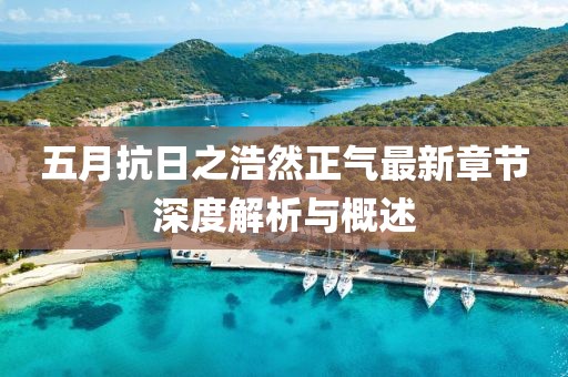 五月抗日之浩然正气最新章节深度解析与概述