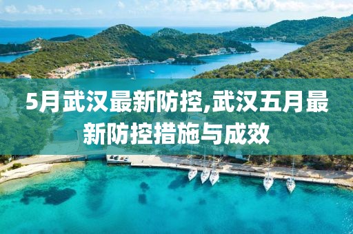 5月武汉最新防控,武汉五月最新防控措施与成效