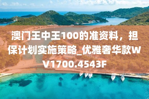 澳门王中王100的准资料，担保计划实施策略_优雅奢华款WV1700.4543F