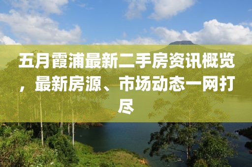五月霞浦最新二手房资讯概览，最新房源、市场动态一网打尽