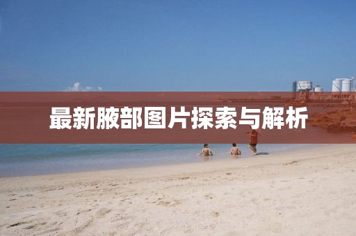 最新腋部图片探索与解析