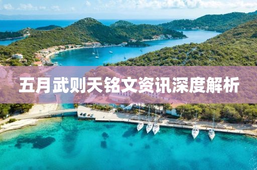 五月武则天铭文资讯深度解析