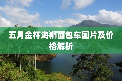 五月金杯海狮面包车图片及价格解析