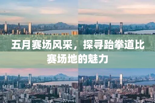 五月赛场风采，探寻跆拳道比赛场地的魅力