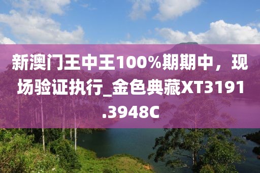 新澳门王中王100%期期中，现场验证执行_金色典藏XT3191.3948C