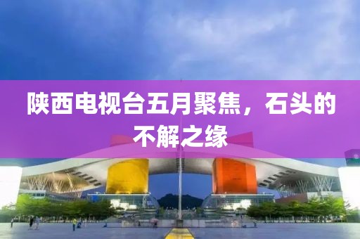 陕西电视台五月聚焦，石头的不解之缘