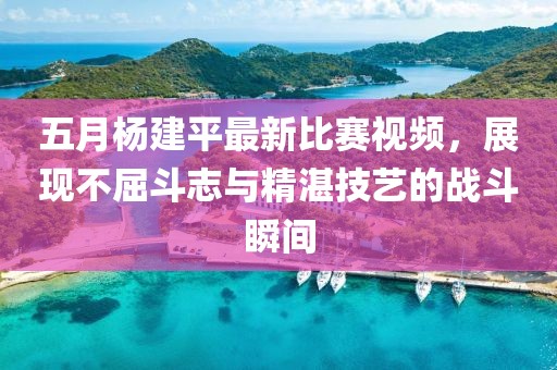 五月杨建平最新比赛视频，展现不屈斗志与精湛技艺的战斗瞬间