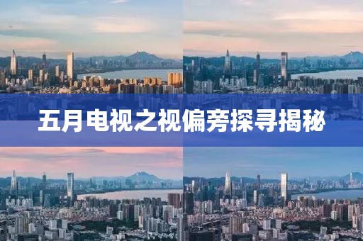 五月电视之视偏旁探寻揭秘
