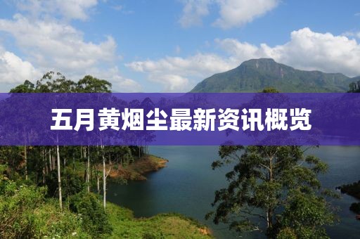 五月黄烟尘最新资讯概览