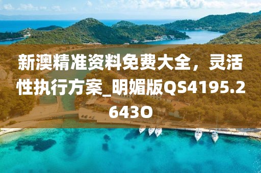 新澳精准资料免费大全，灵活性执行方案_明媚版QS4195.2643O