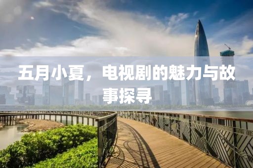 五月小夏，电视剧的魅力与故事探寻
