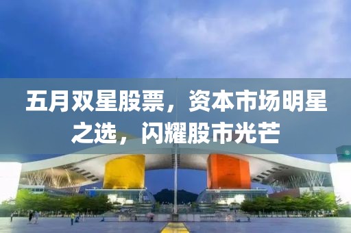 五月双星股票，资本市场明星之选，闪耀股市光芒