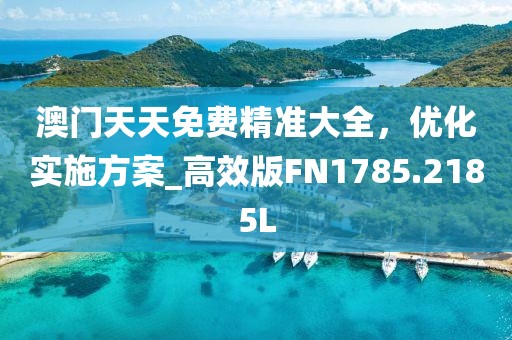 澳门天天免费精准大全，优化实施方案_高效版FN1785.2185L