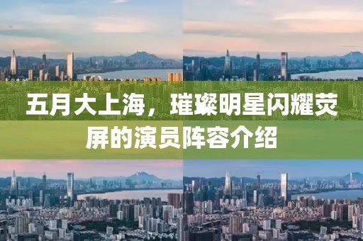 五月大上海，璀璨明星闪耀荧屏的演员阵容介绍