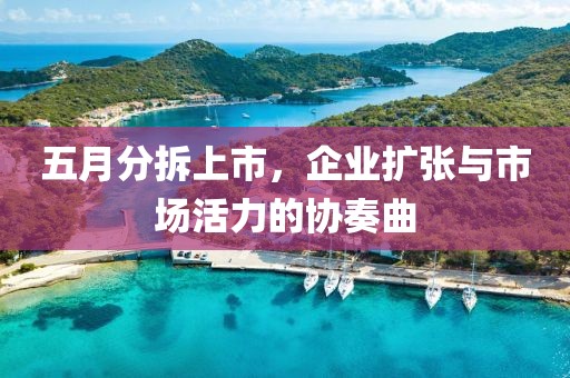 五月分拆上市，企业扩张与市场活力的协奏曲