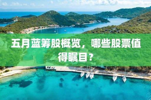 五月蓝筹股概览，哪些股票值得瞩目？