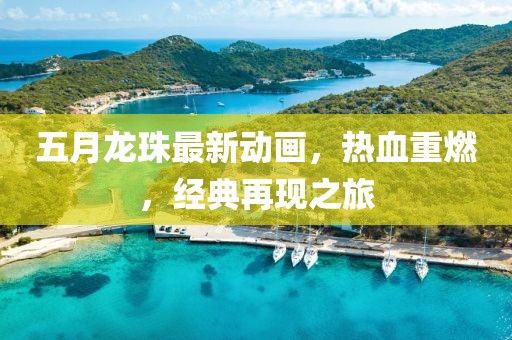 五月龙珠最新动画，热血重燃，经典再现之旅
