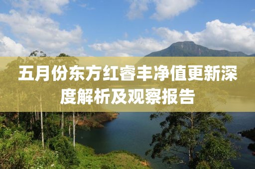 五月份东方红睿丰净值更新深度解析及观察报告