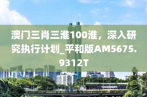 澳门三肖三淮100淮，深入研究执行计划_平和版AM5675.9312T