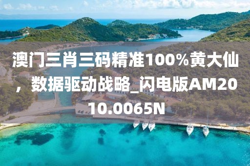 澳门三肖三码精准100%黄大仙，数据驱动战略_闪电版AM2010.0065N