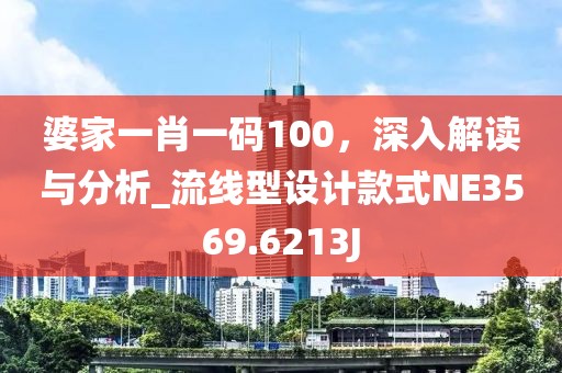 婆家一肖一码100，深入解读与分析_流线型设计款式NE3569.6213J
