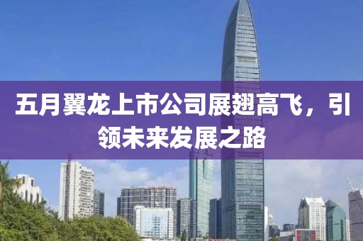 五月翼龙上市公司展翅高飞，引领未来发展之路