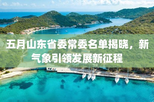 五月山东省委常委名单揭晓，新气象引领发展新征程