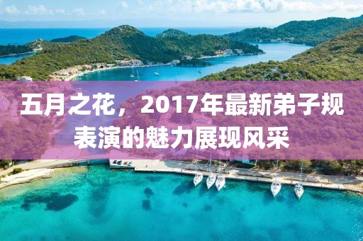 五月之花，2017年最新弟子规表演的魅力展现风采