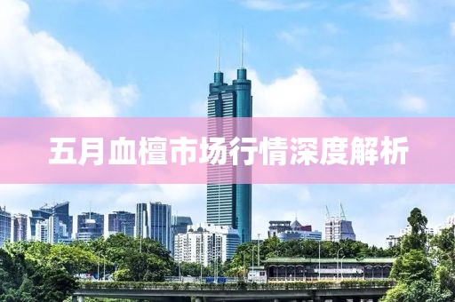 五月血檀市场行情深度解析