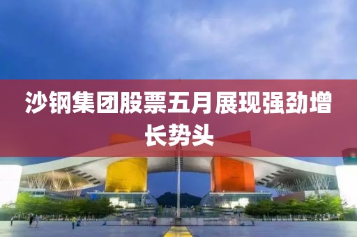 沙钢集团股票五月展现强劲增长势头