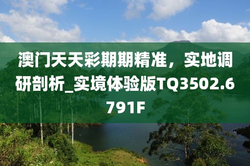澳门天天彩期期精准，实地调研剖析_实境体验版TQ3502.6791F