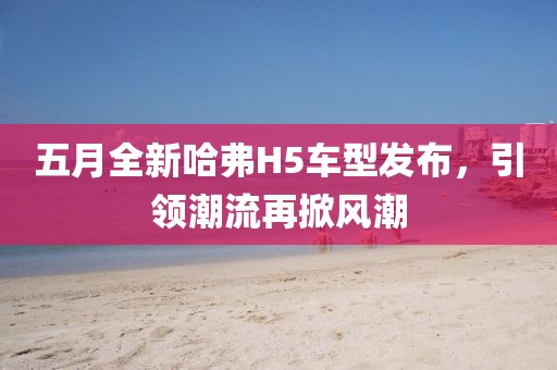 五月全新哈弗H5车型发布，引领潮流再掀风潮