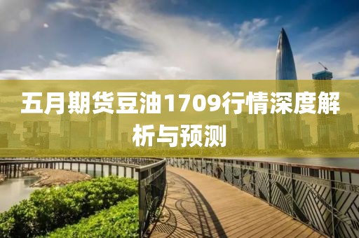 五月期货豆油1709行情深度解析与预测