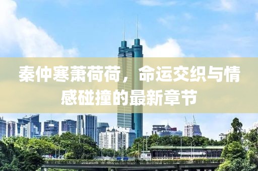 秦仲寒萧荷荷，命运交织与情感碰撞的最新章节