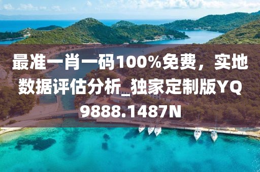 最准一肖一码100%免费，实地数据评估分析_独家定制版YQ9888.1487N